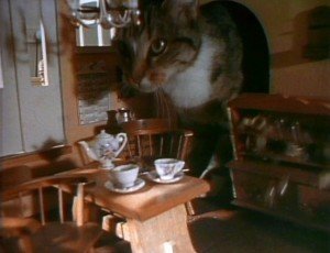 A Henson family cat in the dollhouse!